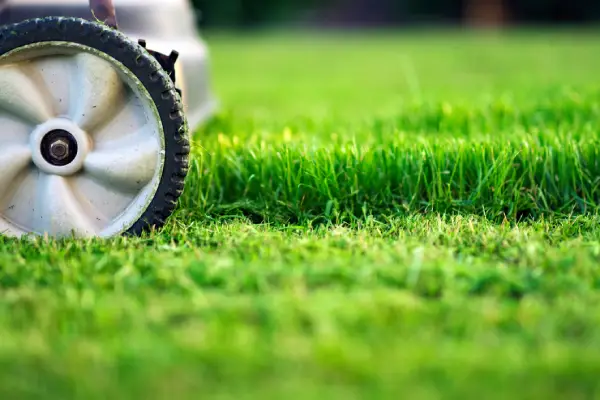 Grass Cutting Service