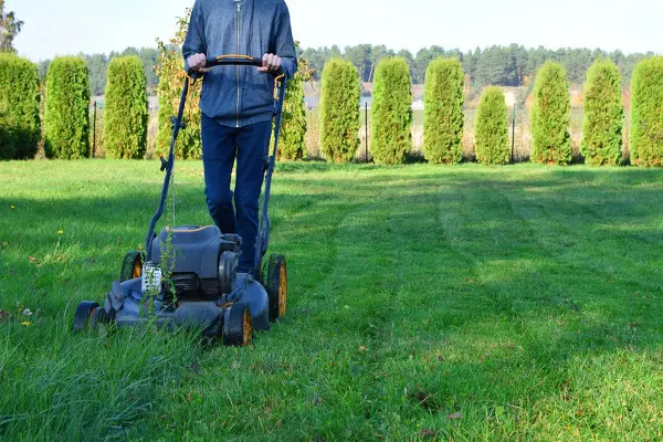 Mejia’s Landscaping Services' Other Services