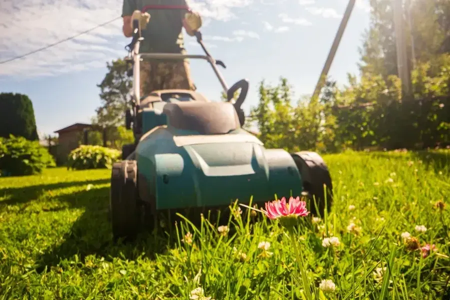Expert Grass Cutting Service Baltimore, MD Expert Grass Cutting Service Baltimore, MD