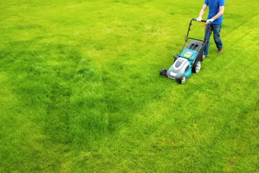 Seasonal Tips For Grass Cutting And Maintenance in Baltimore, MD Seasonal Tips For Grass Cutting And Maintenance in Baltimore, MD